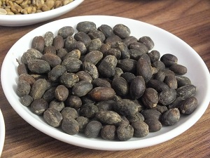 Coffee cherries