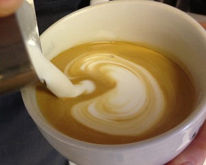 Tulip start