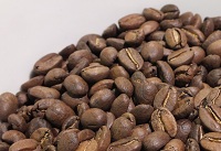 Rainforest Blend beans