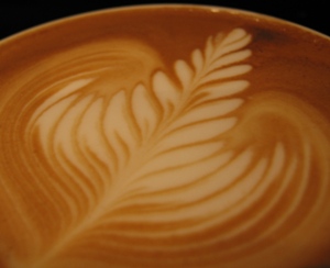 rosetta