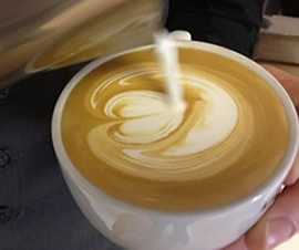 Tulip